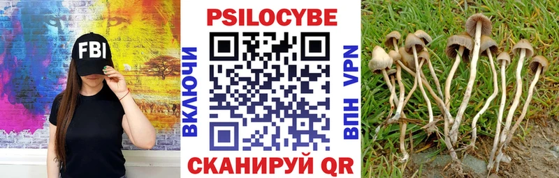 хочу наркоту  Куса  Галлюциногенные грибы MAGIC MUSHROOMS 